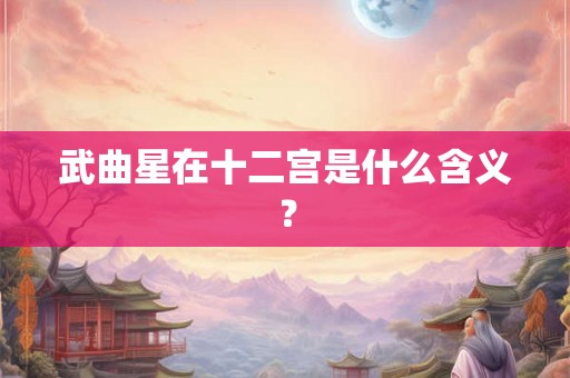 武曲星在十二宫是什么含义? 武曲星在十二宫是什么含义?
