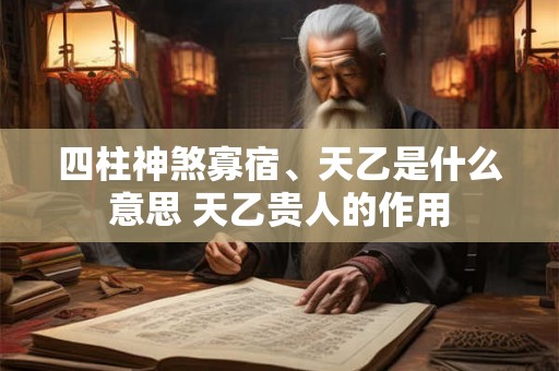 四柱神煞寡宿、天乙是什么意思 天乙贵人的作用