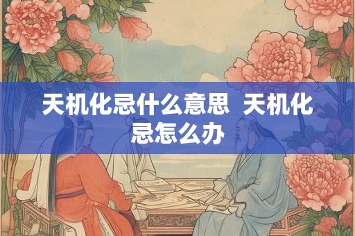 天机化忌什么意思  天机化忌怎么办