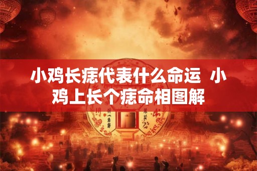 小鸡长痣代表什么命运 小鸡上长个痣命相图解 小鸡长痣代表什么命运 小鸡上长个痣命相图解