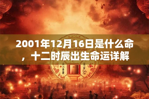 2001年12月16日是什么命，十二时辰出生命运详解