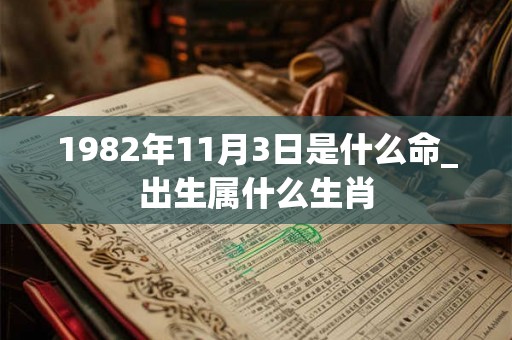 1982年11月3日是什么命_出生属什么生肖