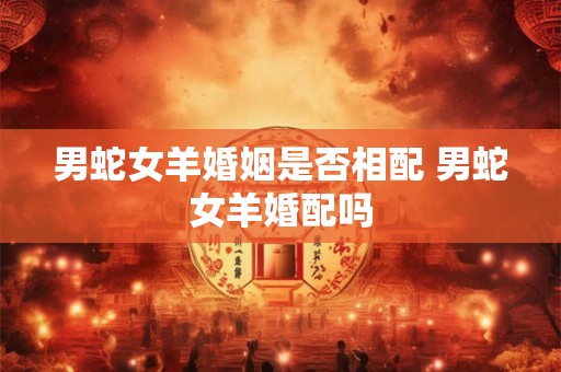 男蛇女羊婚姻是否相配 男蛇女羊婚配吗 男蛇女羊婚姻是否相配 男蛇女羊婚配吗