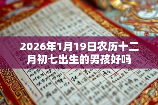 2026年1月19日农历十二月初七出生的男孩好吗