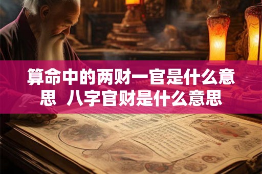算命中的两财一官是什么意思  八字官财是什么意思