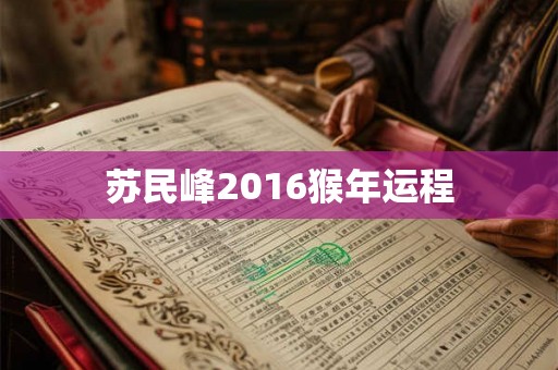 苏民峰2016猴年运程