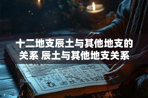 十二地支辰土与其他地支的关系 辰土与其他地支关系如何 十二地支辰土与其他地支的关系 辰土与其他地支关系如何