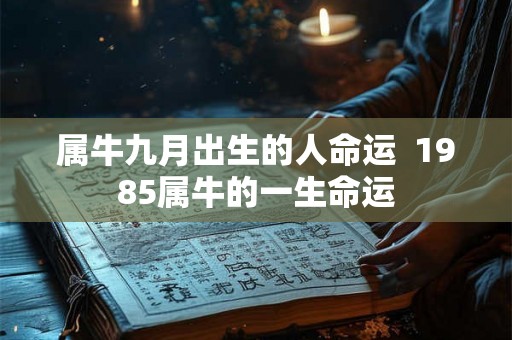 属牛九月出生的人命运  1985属牛的一生命运