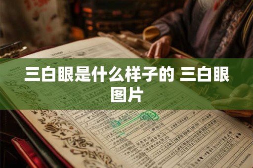 三白眼是什么样子的 三白眼图片