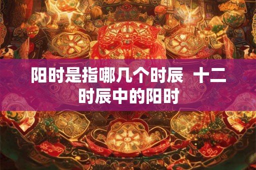 阳时是指哪几个时辰  十二时辰中的阳时