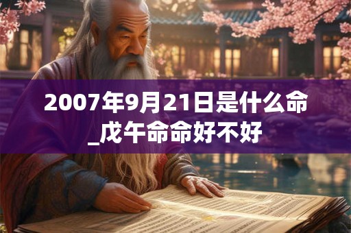 2007年9月21日是什么命_戊午命命好不好