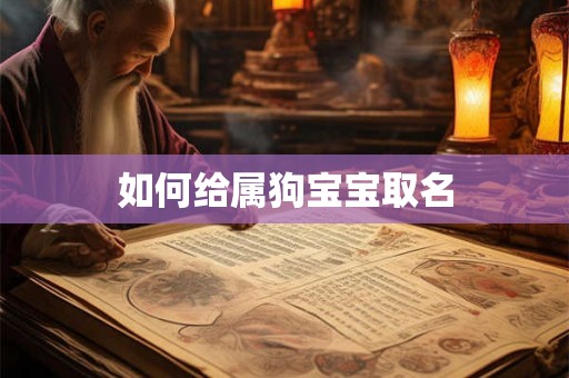 如何给属狗宝宝取名