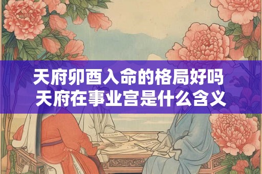 天府卯酉入命的格局好吗 天府在事业宫是什么含义