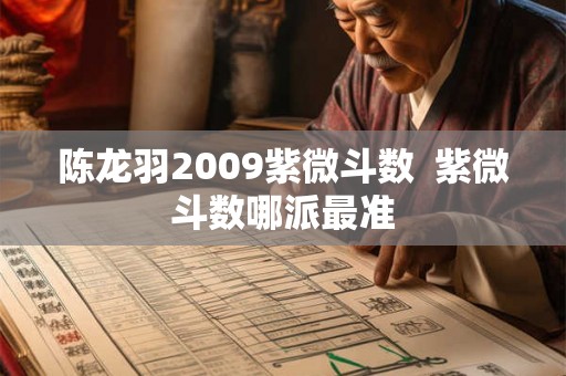陈龙羽2009紫微斗数  紫微斗数哪派最准