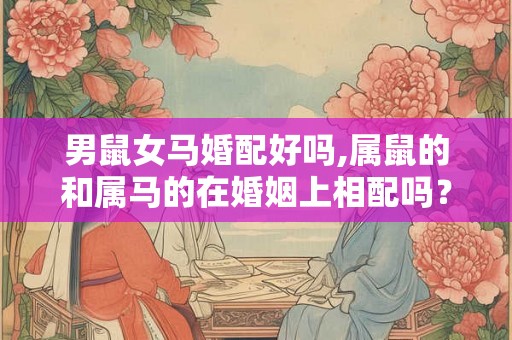 男鼠女马婚配好吗,属鼠的和属马的在婚姻上相配吗？