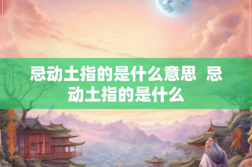 忌动土指的是什么意思  忌动土指的是什么