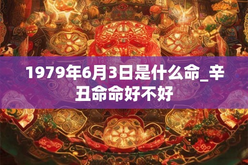 1979年6月3日是什么命_辛丑命命好不好