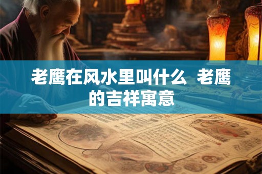 老鹰在风水里叫什么  老鹰的吉祥寓意