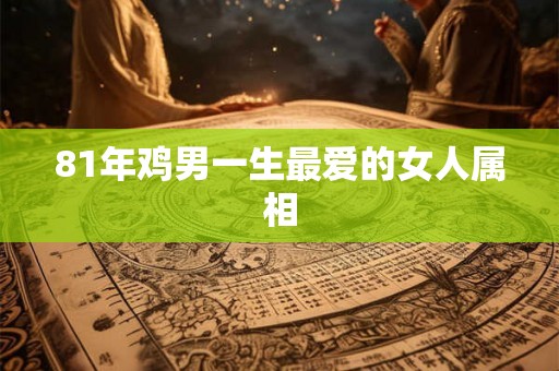 81年鸡男一生最爱的女人属相