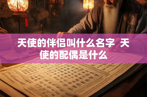 天使的伴侣叫什么名字  天使的配偶是什么
