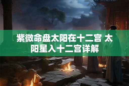 紫微命盘太阳在十二宫 太阳星入十二宫详解