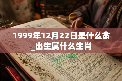 1999年12月22日是什么命_出生属什么生肖 1999年12月22日是什么命_出生属什么生肖