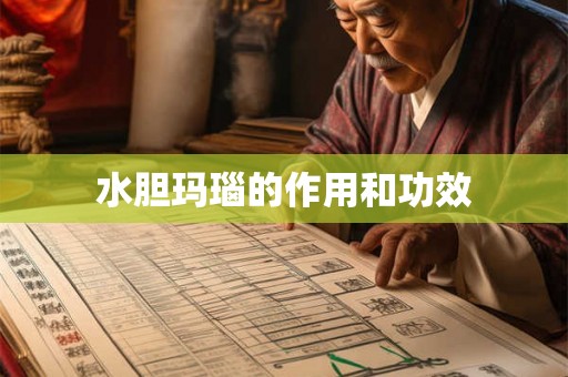 水胆玛瑙的作用和功效