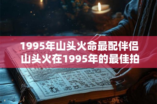 1995年山头火命最配伴侣 山头火在1995年的最佳拍档是谁 1995年山头火命最配伴侣 山头火在1995年的最佳拍档是谁