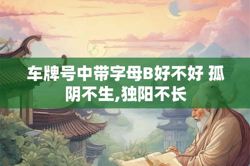 车牌号中带字母B好不好 孤阴不生,独阳不长 车牌号中带字母B好不好 孤阴不生,独阳不长