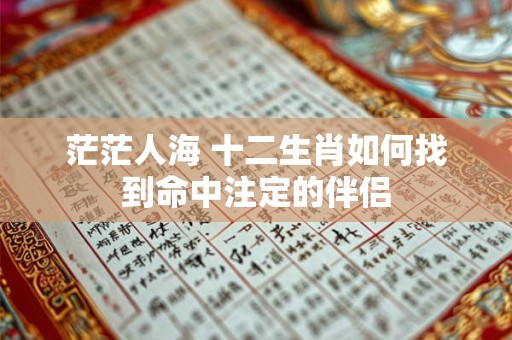 茫茫人海 十二生肖如何找到命中注定的伴侣