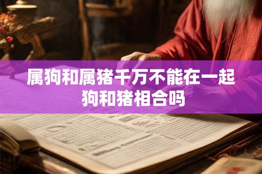 属狗和属猪千万不能在一起 狗和猪相合吗 属狗和属猪千万不能在一起 狗和猪相合吗