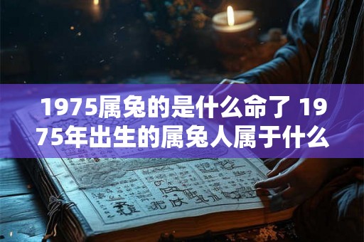 1975属兔的是什么命了 1975年出生的属兔人属于什么五行命