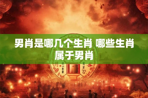 男肖是哪几个生肖 哪些生肖属于男肖