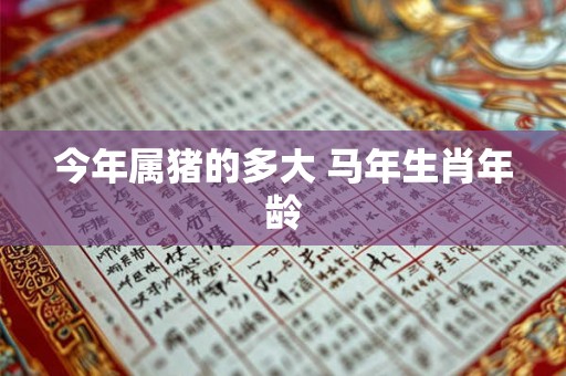 今年属猪的多大 马年生肖年龄
