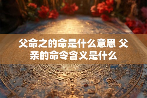 父命之的命是什么意思 父亲的命令含义是什么
