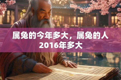 属兔的今年多大，属兔的人2016年多大