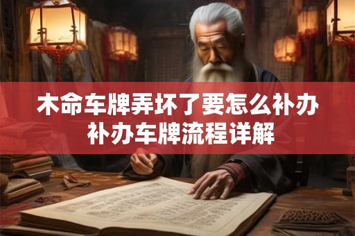 木命车牌弄坏了要怎么补办 补办车牌流程详解