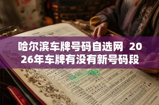 哈尔滨车牌号码自选网  2026年车牌有没有新号码段