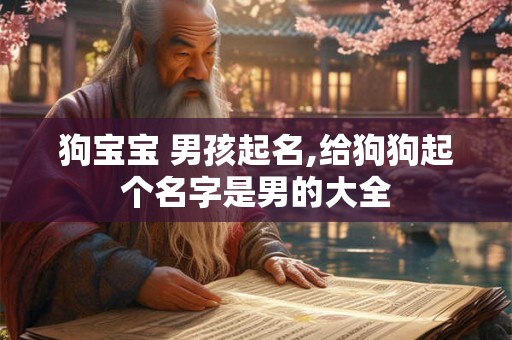 狗宝宝 男孩起名,给狗狗起个名字是男的大全