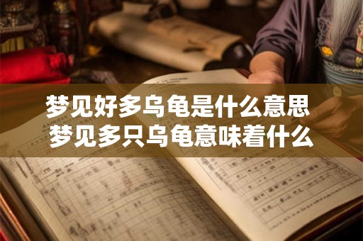 梦见好多乌龟是什么意思 梦见多只乌龟意味着什么 梦见好多乌龟是什么意思 梦见多只乌龟意味着什么