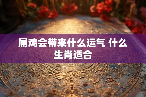 属鸡会带来什么运气 什么生肖适合