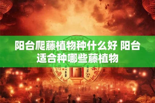 阳台爬藤植物种什么好 阳台适合种哪些藤植物