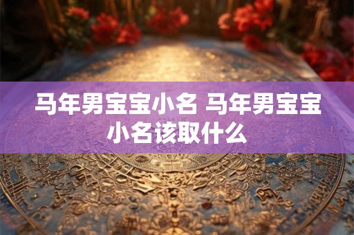 马年男宝宝小名 马年男宝宝小名该取什么 马年男宝宝小名 马年男宝宝小名该取什么