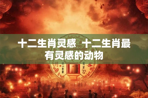十二生肖灵感  十二生肖最有灵感的动物