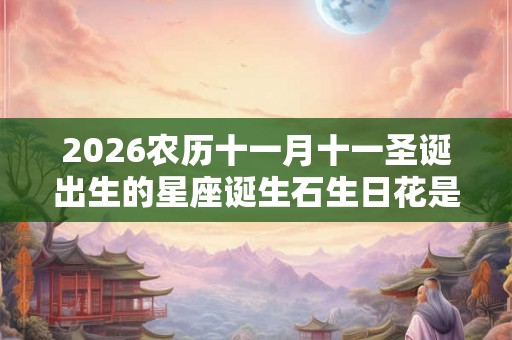 2026农历十一月十一圣诞出生的星座诞生石生日花是什么？