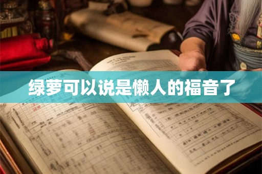 绿萝可以说是懒人的福音了