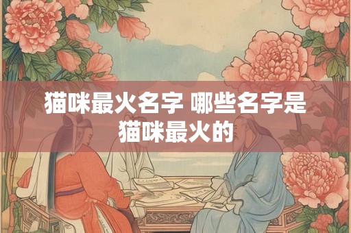 猫咪最火名字 哪些名字是猫咪最火的