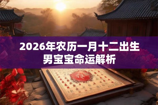 2026年农历一月十二出生男宝宝命运解析