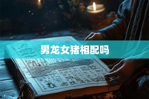 男龙女猪相配吗 男龙女猪相配吗