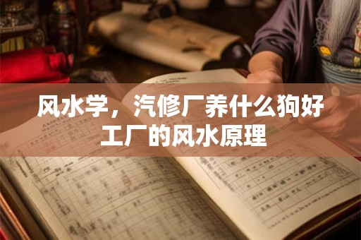 风水学，汽修厂养什么狗好 工厂的风水原理